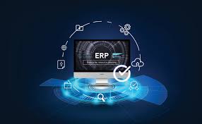Implementing and operating ERP systems